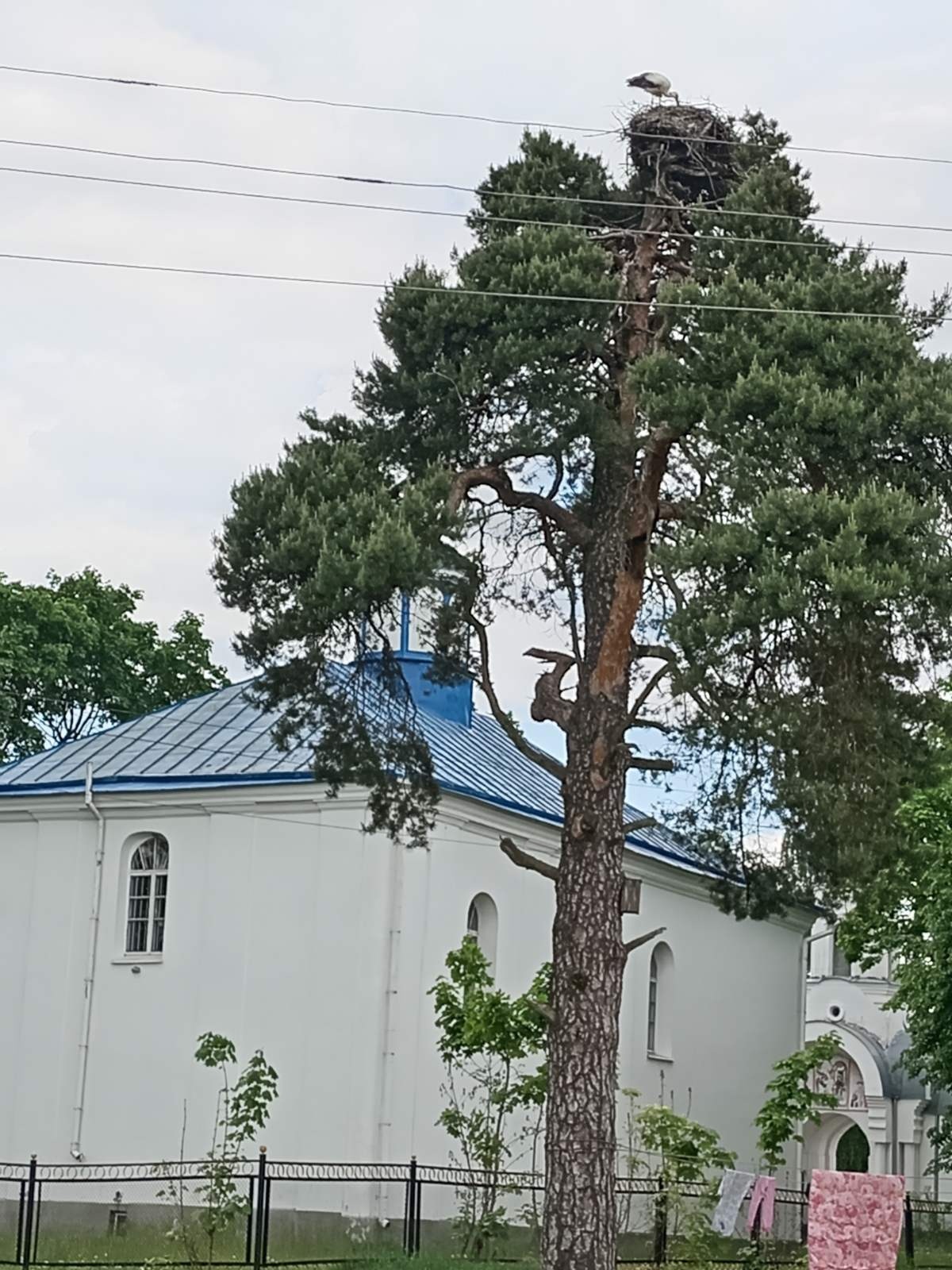 Территория пансионата Бытень
